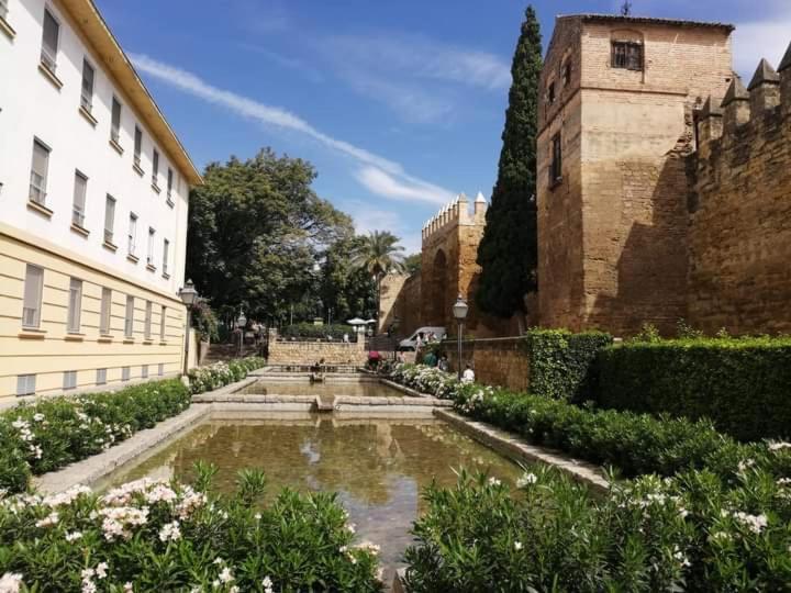 Patio De La Muralla Apartamentos Córdoba Exteriér fotografie